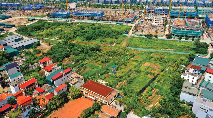 Thực tiễn áp dụng quy định về điều kiện của cá nhân tham gia đấu giá quyền sử dụng đất thực hiện dự án đầu tư hiện vẫn tồn tại nhiều cách hiểu trái chiều. Ảnh minh họa: Thu Huyền