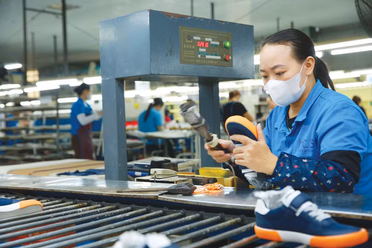 Các chính sách hỗ trợ doanh nghiệp nhỏ và vừa sẽ tập trung nâng cao chất lượng, năng lực cạnh tranh, khả năng đổi mới sáng tạo, tham gia chuỗi giá trị và khả năng phát triển thành doanh nghiệp quy mô lớn hơn. Ảnh: Lân Bùi