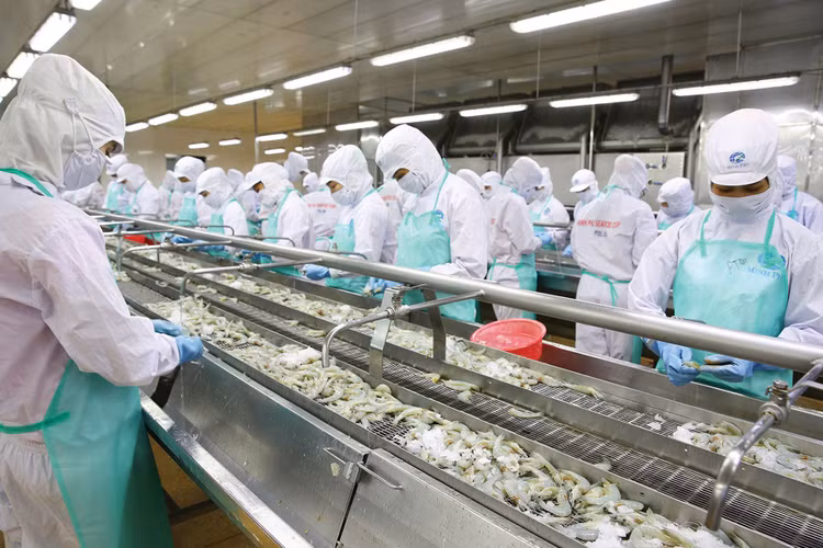 Tính từ đầu năm đến hết ngày 15/2/2026, tổng trị giá xuất khẩu hàng hóa đạt 63,64 tỷ USD, tăng 33,7% so với cùng kỳ năm 2025. Ảnh: Tấn Tiên