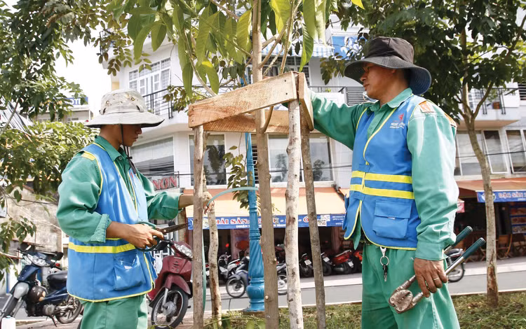 Hai gói thầu chăm sóc, bảo dưỡng công viên, cây xanh trên địa bàn phường Bình Tân (TP.HCM) giai đoạn 2026 - 2030 có tổng giá trị hơn 44 tỷ đồng