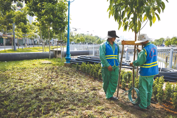 Thị trường dịch vụ công ích tại TP.HCM ngày càng chuyên nghiệp hóa nhằm quản lý, vận hành hiệu quả mạng lưới hạ tầng kỹ thuật đô thị rộng lớn sau sáp nhập. Ảnh: Song Lê