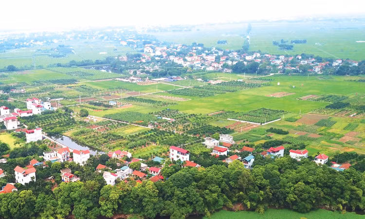 Bộ Tài chính đề xuất quy định và hướng dẫn về việc kéo dài thời hạn miễn thuế sử dụng đất nông nghiệp đến hết ngày 31/12/2030. Ảnh: Lê Tiên