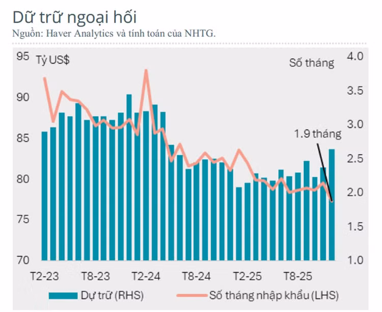Tỷ giá chịu nhiều áp lực 