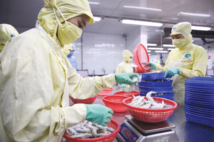 Thực tế hoạt động sản xuất - kinh doanh cho thấy doanh nghiệp vẫn đang vật lộn với nhiều trở ngại. Ảnh: Lê Tiên