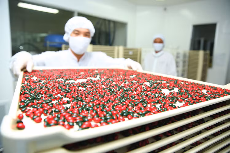 Nhiều doanh nghiệp dược đánh giá, năm 2026 sẽ là giai đoạn tăng trưởng cao và mang tính chọn lọc. Ảnh: Tiên Giang