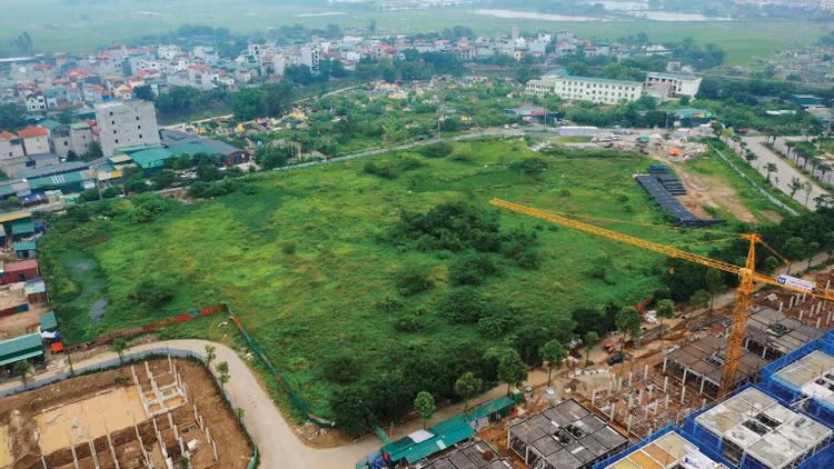 Dự thảo Luật bổ sung quy định nâng tỷ lệ tiền đặt trước trong đấu giá quyền sử dụng đất. Ảnh minh họa: Lê Gia Khoa