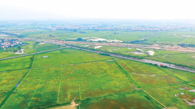 Nhiều dự án đầu tư kinh doanh mở thầu trong tháng 7 và tháng 8/2026 có 3 nhà đầu tư đăng ký tham gia. Ảnh: Lê Tiên