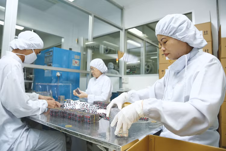 Thị phần thực tế của thuốc nội chưa phản ánh đầy đủ năng lực sản xuất trong nước. Ảnh: Tiên Giang