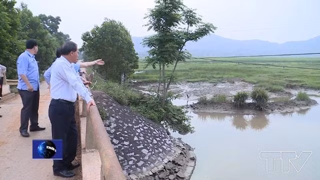UBND tỉnh Thanh Hóa khảo sát thực địa Dự án Tiêu úng vùng III huyện Nông Cống. Ảnh: Internet 