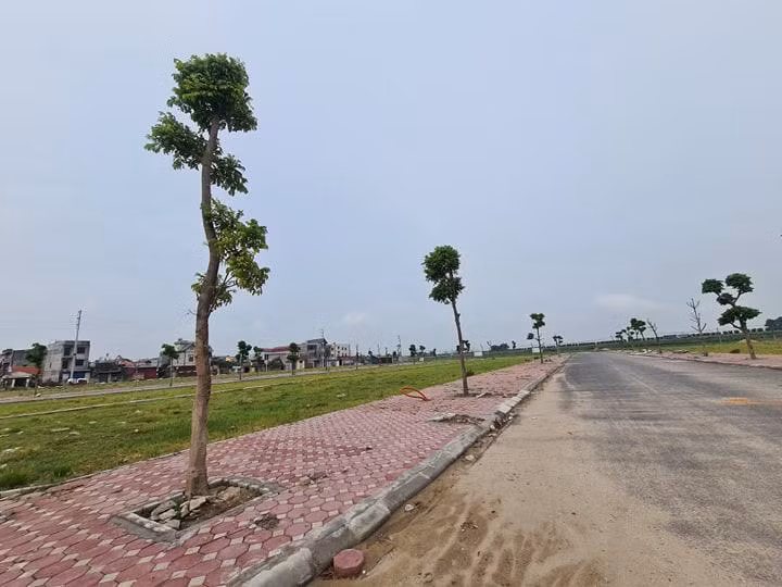 Ảnh minh họa internet