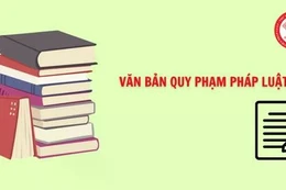 Tiếp tục áp dụng một số văn bản hướng dẫn thi hành một số luật