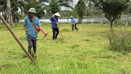 Dịch vụ công ích là các công việc mang tính lặp lại theo chu kỳ, kỹ thuật thực hiện tương đối đơn giản. Ảnh: Tiến Giang