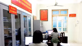 Gói thầu Mua sắm, gia công và lắp đặt bàn làm việc, kệ tủ hồ sơ phục vụ nhu cầu bố trí không gian làm việc tại Thi hành án dân sự TP.HCM đã chọn được nhà thầu. Ảnh minh họa: Nhã Chi