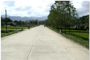 Trao đổi nghiệp vụ ngày 17/3/2026: Tiêu chí nhân sự chủ chốt