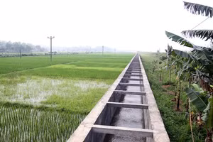 Gói thầu Thi công xây dựng công trình