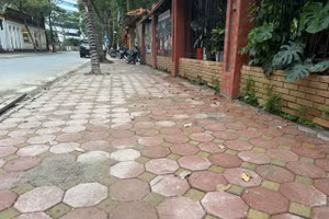 Gói thầu: Thi công xây dựng