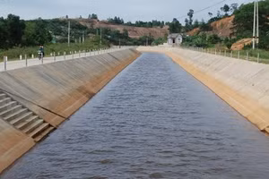 Trao đổi nghiệp vụ ngày 01/6/2026: Tiêu chí chấm thầu, thương thảo, ký kết
