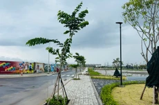 Theo HoREA, mức thu hiện nay quá cao, vượt khả năng của người dân và doanh nghiệp. Ảnh: Bảo Tín