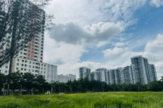 Việc xây dựng bảng giá đất lần đầu đánh dấu bước chuyển quan trọng trong quản lý đất đai của TP.HCM sau sáp nhập. Ảnh: Gia An