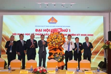 Trong nhiệm kỳ đầu tiên, Hội đặt mục tiêu kiện toàn bộ máy tổ chức, phát triển hội viên, xây dựng sáu ban chuyên môn và mở rộng mạng lưới chi hội ngành nghề và chi hội khu vực. Ảnh: Bảo Tín