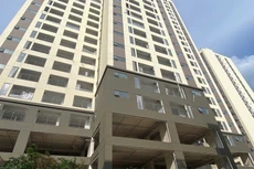 Cơn sốt tại Phú Thọ DMC cho thấy nhu cầu về nhà ở giá rẻ tại các đô thị hạt nhân như TP.HCM vẫn cực kỳ lớn, trong khi nguồn cung thực tế chỉ mới đáp ứng được một phần rất nhỏ kỳ vọng của xã hội. Ảnh: Internet