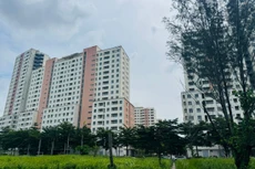 Để NƠXH thực sự đến tay người cần và không chỉ là “cánh cửa hẹp”, các chuyên gia và cơ quan chức năng cho rằng, cần phải có những giải pháp đồng bộ và quyết liệt. Ảnh: Trường An