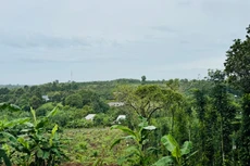 Hiệu quả cuối cùng của bảng giá đất sẽ phụ thuộc vào cách tổ chức thực hiện, mức độ đồng thuận xã hội và khả năng tiếp tục điều chỉnh linh hoạt trong những năm tới. Ảnh: Bảo Tín