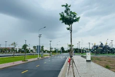 Đà phục hồi hiện nay mang tính bền vững và chọn lọc. Bảo An