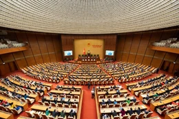 Bản tin thời sự sáng 12/12