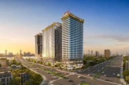 Từ "lướt sóng ngắn hạn" sang "tích sản bền vững": Bước chuyển mình của nhà đầu tư có tầm nhìn