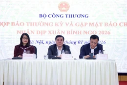 Thứ trưởng Bộ Công Thương Nguyễn Sinh Nhật Tân (giữa) thông tin tại họp báo - Ảnh: VGP/Vũ Phong