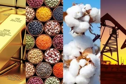 Dự thảo phân loại nhà đầu tư thành hai nhóm: nhà đầu tư chuyên nghiệp và nhà đầu tư cá nhân.