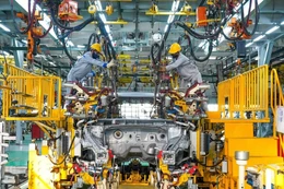 Bản tin thời sự sáng 03/01