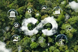 Bản tin thời sự sáng 13/11