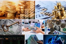 Báo cáo Thủ tướng Chính phủ về tình hình thị trường chứng khoán (cổ phiếu, phái sinh, trái phiếu) trước ngày 15/9/2025.