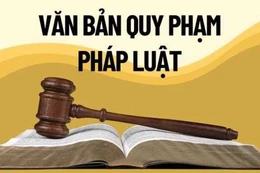 Chính phủ thống nhất Đề án tổng rà soát hệ thống văn bản quy phạm pháp luật, hướng tới gỡ “điểm nghẽn” thể chế