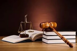 Chính phủ thảo luận, cho ý kiến đối với 11 dự án luật, nghị quyết