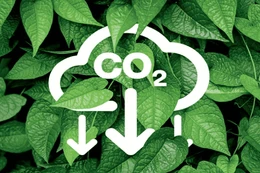 Thu tiền cung cấp dịch vụ trên sàn giao dịch các-bon trong nước kể từ ngày 01/01/2029.