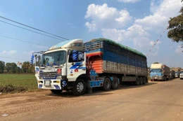 Xe hàng hóa ở cửa khẩu Tây Ninh