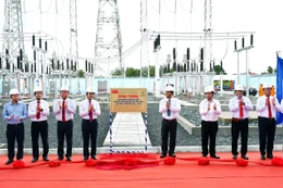 Tổng công ty Điện lực miền Nam EVNSPC: Gắn biển hai công trình chào mừng Đại hội đại biểu Đảng bộ Tập đoàn Điện lực Việt Nam lần thứ IV