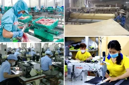 Khu vực kinh tế tư nhân đã đóng góp quan trọng vào tăng trưởng kinh tế, xuất nhập khẩu