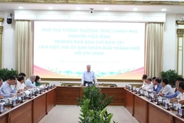 Phó Thủ tướng Thường trực lưu ý TPHCM cần tập trung chỉ đạo quyết liệt, có hiệu quả việc rà soát, giải quyết dứt điểm việc tháo gỡ vướng mắc, khó khăn cho các dự án thuộc thẩm quyền của TPHCM - Ảnh: VGP/Nguyễn Hoàng