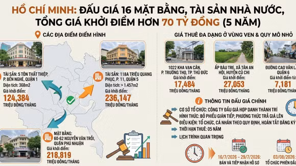 TP.HCM Đấu giá quyền khai thác 16 cơ sở nhà, đất. Ảnh: AI