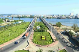 Đấu giá hơn 3,5 ha đất sản xuất tại Khu kinh tế Hoa Lư. Ảnh minh họa: Intrenet