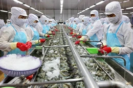 Ảnh chỉ mang tính minh họa. Nguồn: Internet