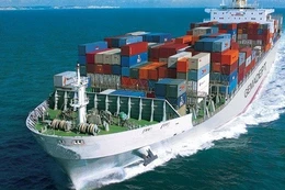 Agribank Thái Bình đấu giá tàu chở hàng hơn 4.700 tấn. Ảnh minh họa: Internet