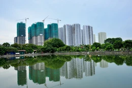 Giống lâm nghiệp Trung ương lại đang quản lý và sử dụng nhiều khu đất có vị trí đắc địa tại Hà Nội. Ảnh minh họa: Internet