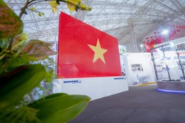 Vicostone ghi nhận doanh thu hơn 4.100 tỷ đồng năm 2025 trong bối cảnh thị trường quốc tế đầy thách thức