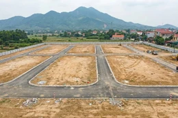 Ảnh chỉ mang tính minh họa: Internet