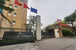 Giá trúng đấu giá cổ phần Công ty CP Giầy Thượng Đình lên 216.000 đồng/cp. Ảnh: Internet